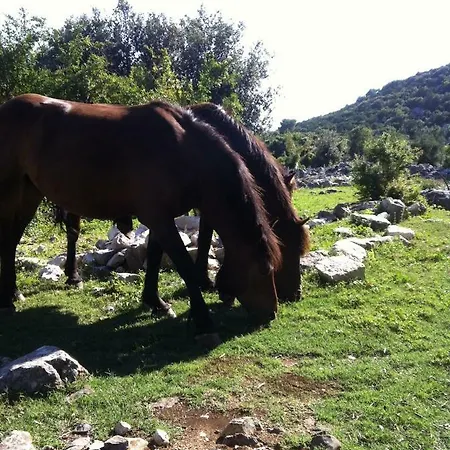 Marra & Kech Apartment *