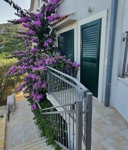 Marra & Kech * 普洛切