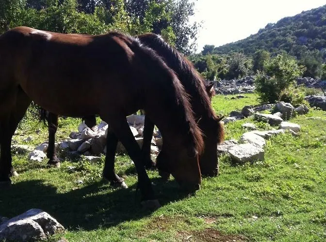 Marra & Kech 公寓 *