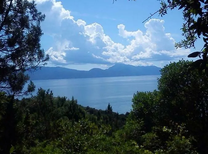 公寓 Marra & Kech 普洛切